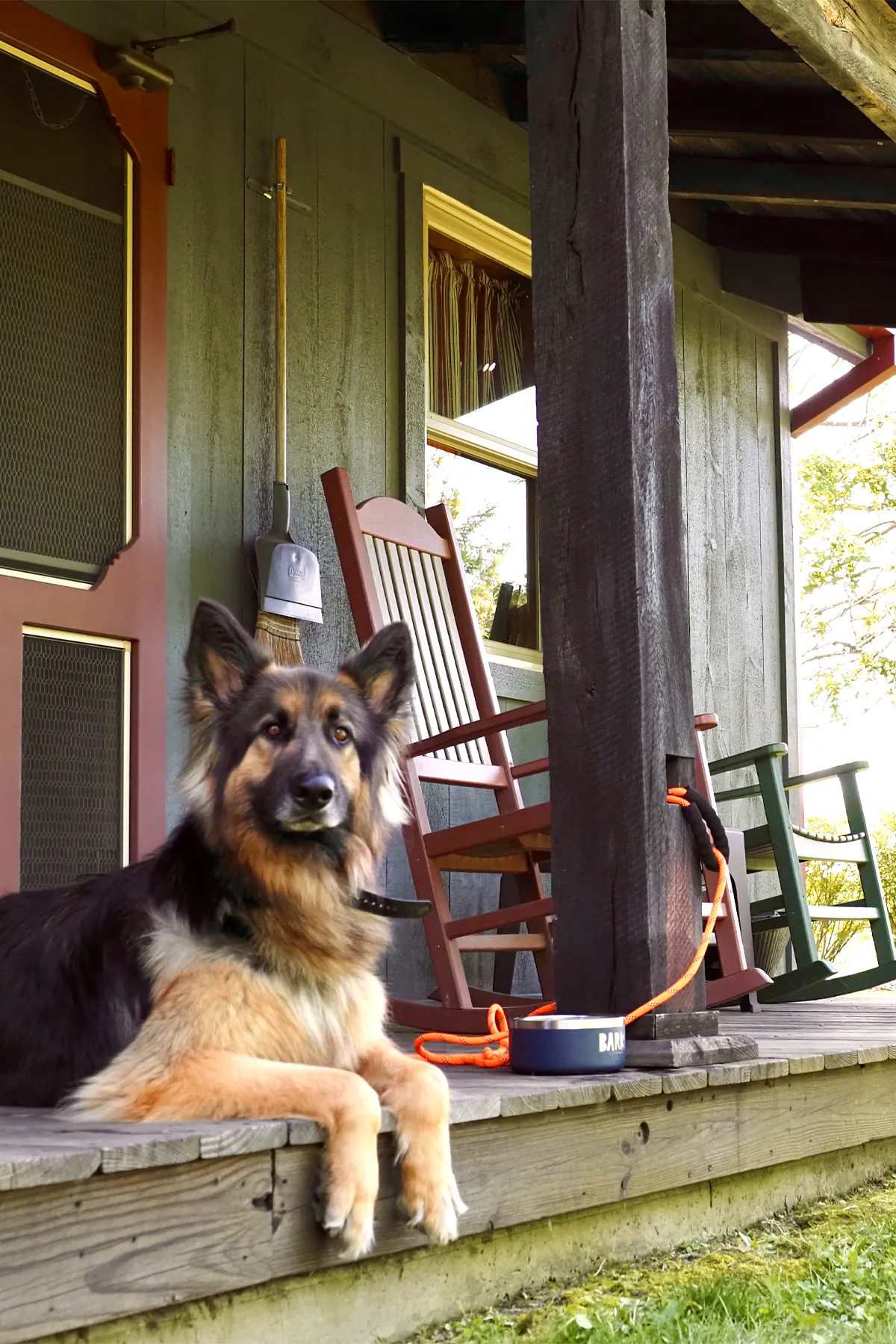 german shepherd dog sitting on front porch of windy knob cottage at deer creek winery at watson estate