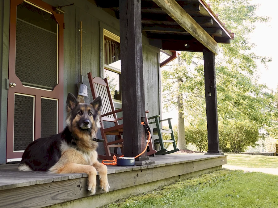 german shepherd sitting on porch of cottage at deer creek winery at watson estate 