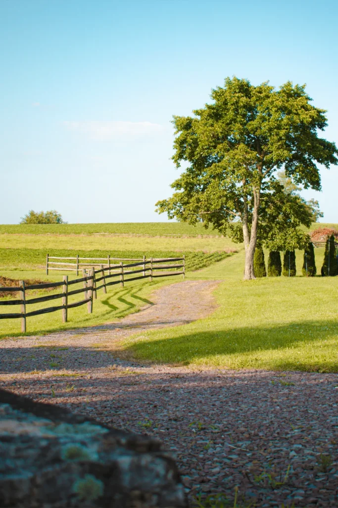 Compare Estates backfield