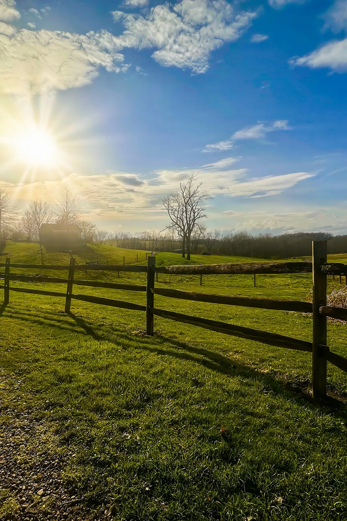 Compare Estates sungrassfence
