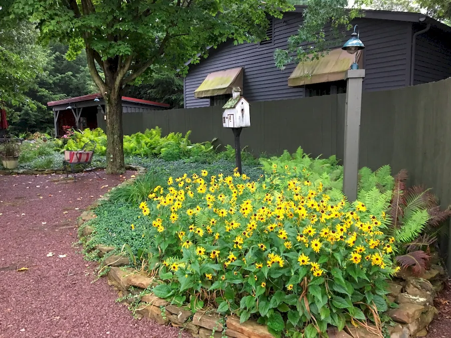 a well tended garden