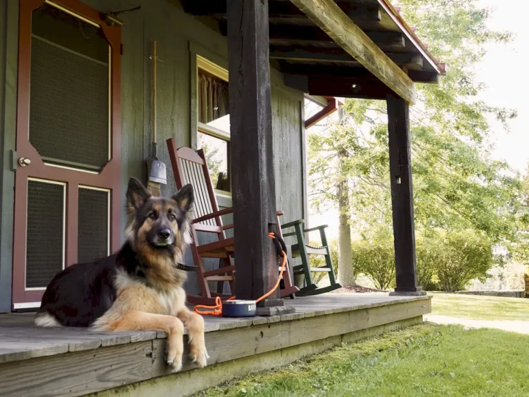 german shepherd on front porch of red fox run cottage at watson estate at deer creek winery