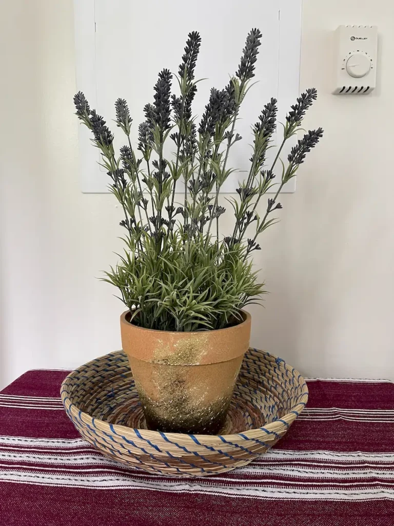 guatemalan adventure decorations