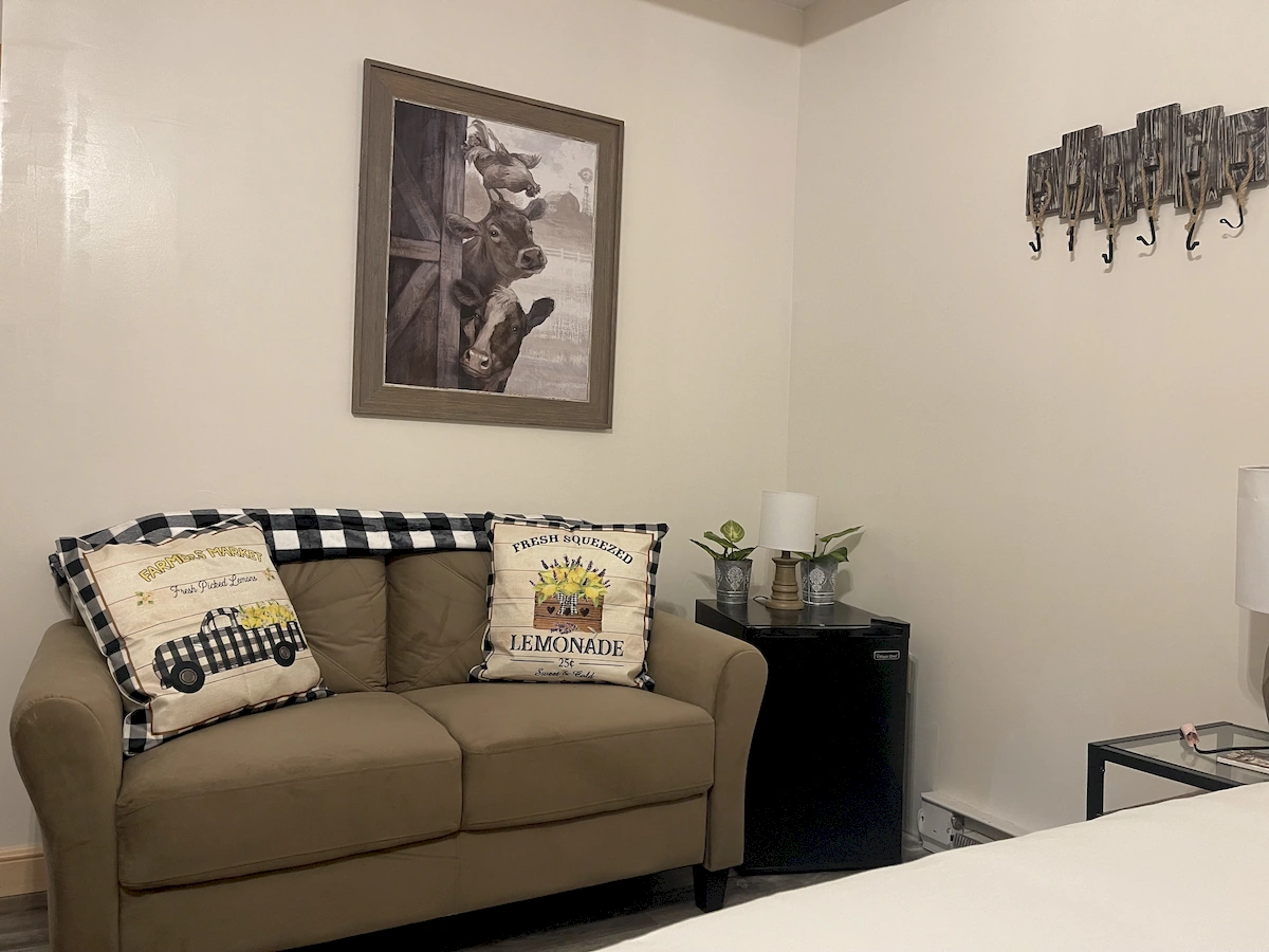lavender and lemon farm room couch