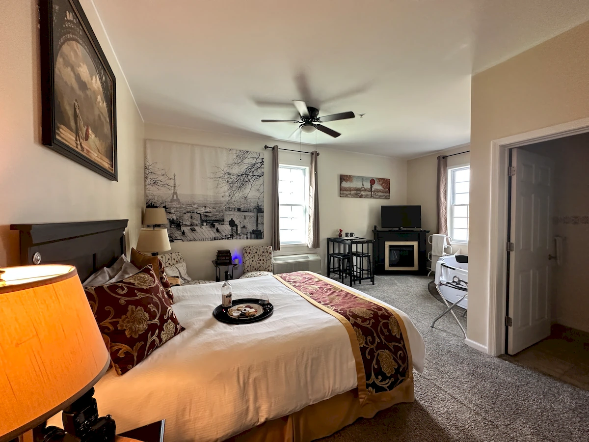 winter in paris full room view