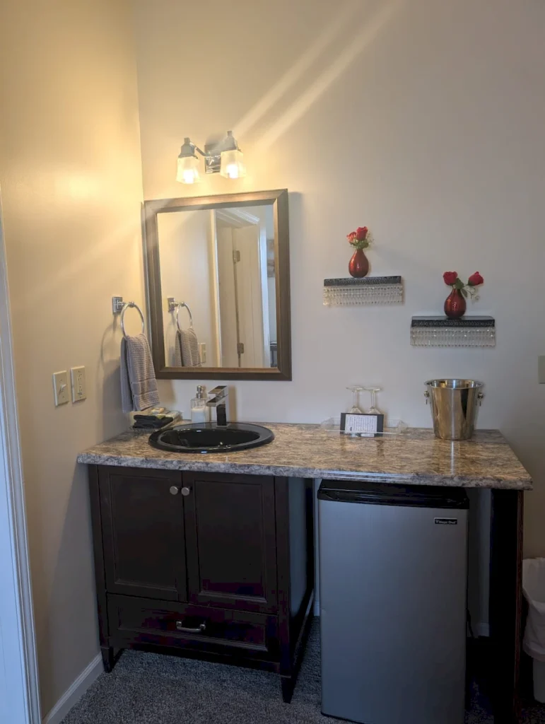 winter in paris room, bathroom